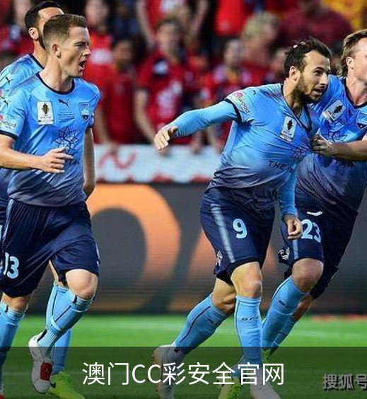 澳门CC彩安全官网概况